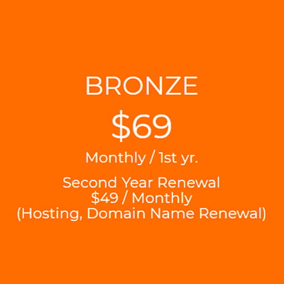 Bronze Website Package