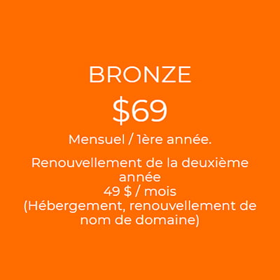 Package de site Web Bronze