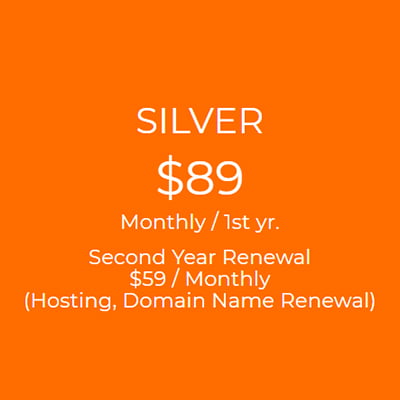 Silver Website Package